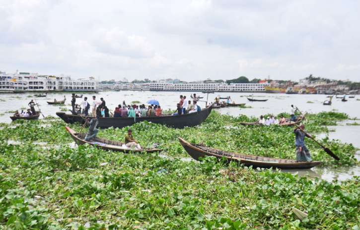বুড়িগঙ্গায় কচুরিপানা