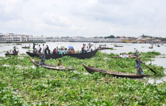 বুড়িগঙ্গায় কচুরিপানা
