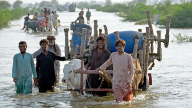 পাকিস্তানে বন্যায় নিহতের সংখ্যা বেড়ে ৩৫১