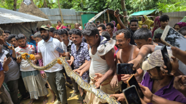 উখিয়ায় বার্মিজ অজগর উদ্ধার 