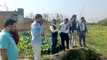 রূপগঞ্জে পরিবেশ দূষণের অভিযোগে হাশেম ফুডসকে জরিমানা