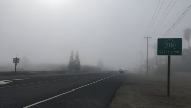 যুক্তরাষ্ট্রের ক্যালিফোর্নিয়ায় ঘন ‘রেডিয়েশন ফগ’-এ বিপর্যস্ত ১৩ মি