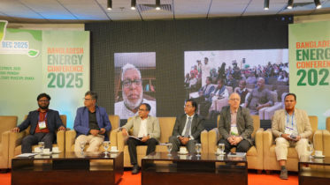 নবায়নযোগ্য জ্বালানির প্রধান বাধা কিছু ব্যবসায়ী ও আমলা: উপদেষ্টা ফাওজুল কবির