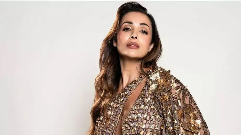 মালাইকা অরোরা / ফাইল ছবি