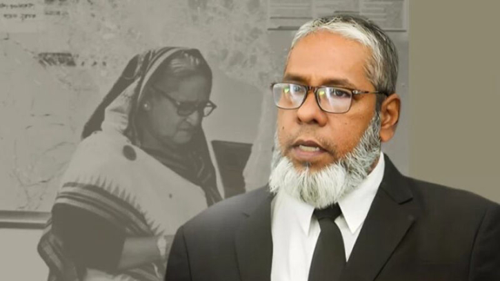 শেখ হাসিনা–কামালের খালাস প্রত্যাশা: আমির হোসেন