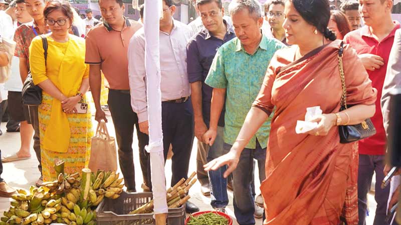 মেলা ঘুরে দেখছেন উপদেষ্টা ও অতিথিরা, ছবি:পিআইডি