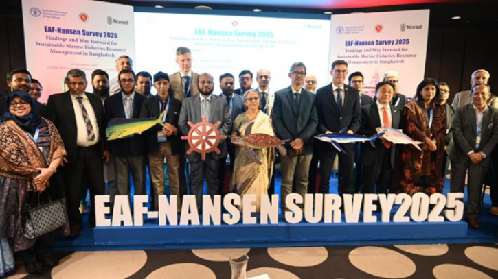 বঙ্গোপসাগরে ৬৫ নতুন প্রজাতির মাছ, বাংলাদেশ অংশেই ৫ প্রজাতি 