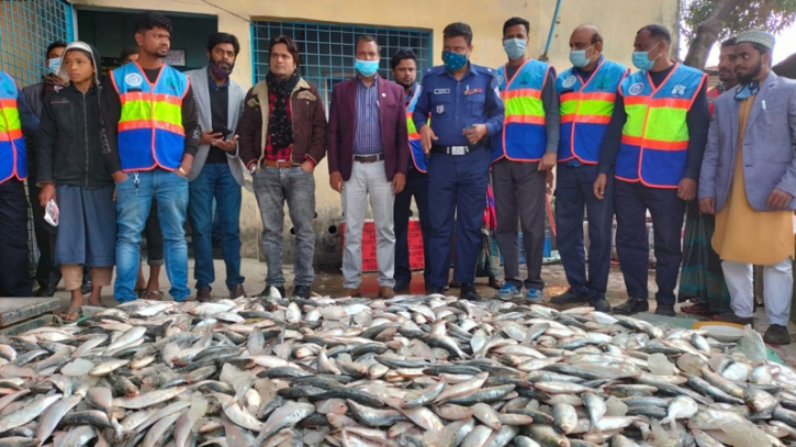 গজারিয়ায় যাত্রীবাহী লঞ্চ থেকে ১ হাজার কেজি জাটকা জব্দ