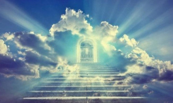 যে কাজ সর্বাধিক মানুষকে জান্নাতে নিয়ে যাবে