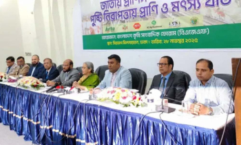 মৎস্য ও প্রাণিসম্পদ খাত ভর্তুকি পায় না: উপদেষ্টা 