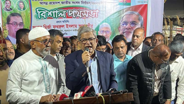একটি দল দেশে বিশৃঙ্খলার চেষ্টা করছে: মির্জা ফখরুল