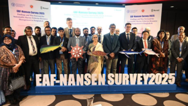 বঙ্গোপসাগরে ৬৫ নতুন প্রজাতির মাছ, বাংলাদেশ অংশেই ৫ প্রজাতি 