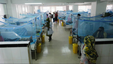 ৬ দিনে ৬ হাজারের বেশি ডেঙ্গু রোগী ও মৃত্যু ২৯