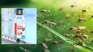 ব্রাজিলে অনুমোদন পেল বিশ্বের প্রথম এক ডোজ ডেঙ্গু টিকা