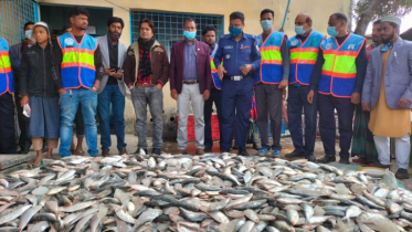 গজারিয়ায় যাত্রীবাহী লঞ্চ থেকে ১ হাজার কেজি জাটকা জব্দ
