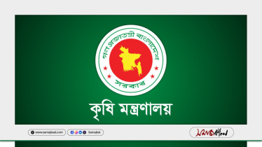কৃষি মন্ত্রণালয়ে নতুন ২৬ জন জনবল নিয়োগ দেবে