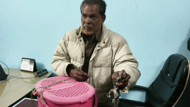 ৬০ লাখ টাকার মূল্যের ৩ তক্ষকসহ ব্যবসায়ী গ্রেপ্তার