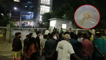 পল্লবী থানার সামনে ৩ ককটেল বিস্ফোরণ, পুলিশসহ আহত ৩