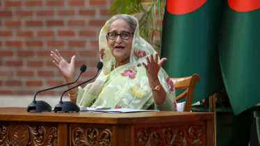 হাসিনার সম্পদের প্রতি লোভ আছে: বিচারক