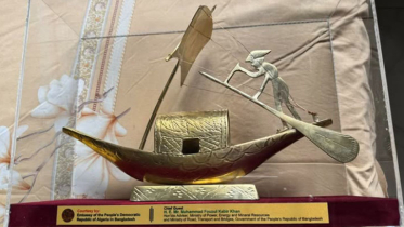 ‘নৌকা’ উপহারে বিব্রত উপদেষ্টা, ফেসবুকে চাইলেন পরামর্শ