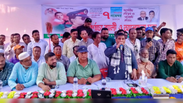 গণতন্ত্র রক্ষায় ধানের শীষে ভোট দিতে হবে: নওশাদ জমির