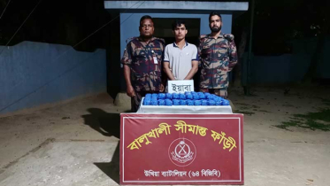 উখিয়ায় বিজিবির অভিযানে দেড় লাখ ইয়াবা উদ্ধার, আটক ১