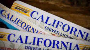 যুক্তরাষ্ট্রে ১৭ হাজার অভিবাসীর ড্রাইভিং লাইসেন্স বাতিল
