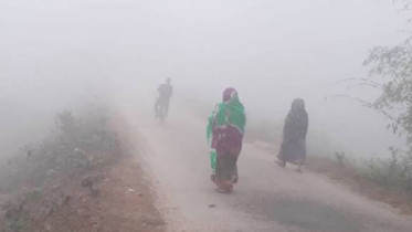 পঞ্চগড়ে বাড়ছে শীতের তীব্রতা, তাপমাত্রা নেমে এলো ১২ ডিগ্রিতে