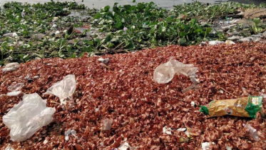 শ্যামবাজারের বর্জ্য পড়ছে নদীতে