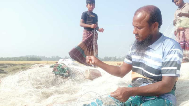 মন দিয়ে জাল মেরামত করছেন