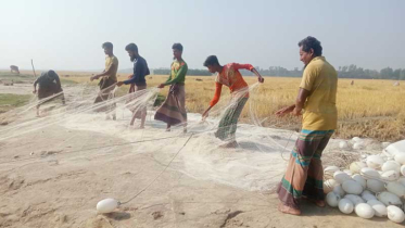 জাল ঠিক আছে পরীক্ষা