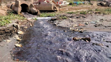 বুড়িগঙ্গার দূষণের শিকার