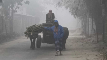 পঞ্চগড়ে শীতের তীব্রতা বেড়েছে, স্বাস্থ্যঝুঁকি বাড়ছে