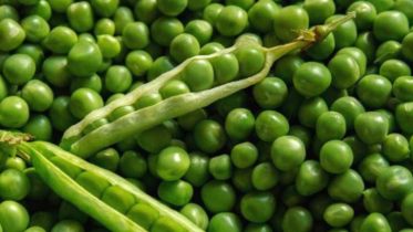 রোজ মটরশুঁটি খাওয়ার ৭ চমকপ্রদ স্বাস্থ্যগুণ