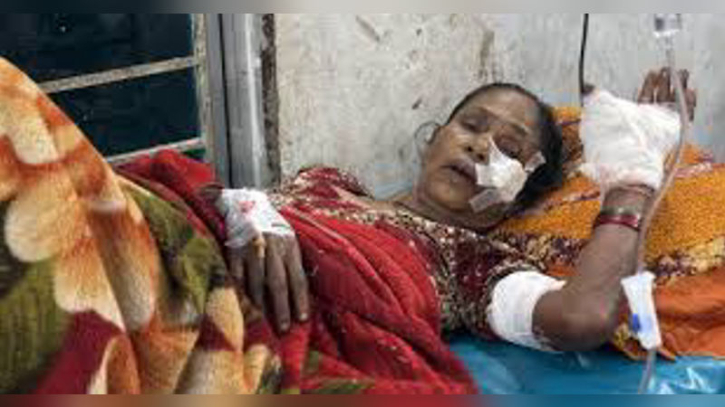 কোটালীপাড়ায় কুড়িয়ে পাওয়া ককটেল বিস্ফোরণে বৃদ্ধা আহত