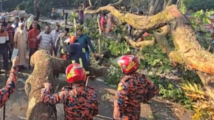 গাছ কেটে ঢাকা–বরিশাল মহাসড়ক অবরোধ