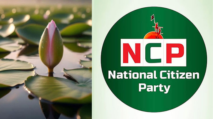 ‘শাপলা কলি’ নিতে রাজি এনসিপি ‘শাপলা কলি’ নিতে রাজি এনসিপি