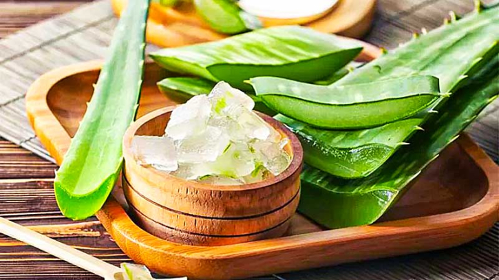 উপকারী অ্যালোভেরায় জরুরি সাবধানতাও