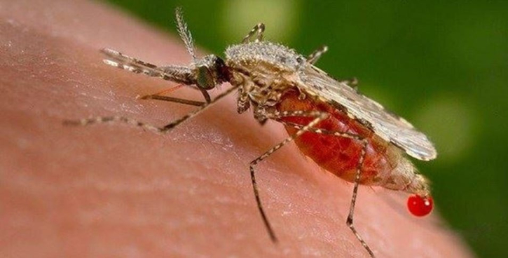 ডেঙ্গুতে দিনের ৪ মৃত্যুই ঢাকায়