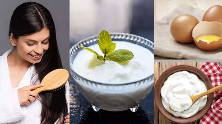 চুলের ঘনত্ব বাড়াতে দই না ডিম—কোনটি বেশি কার্যকর?