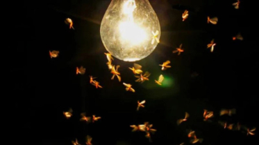 এই ৫ ঘরোয়া কৌশলেই মিলবে স্বস্তি! এই ৫ ঘরোয়া কৌশলেই মিলবে স্বস্তি!