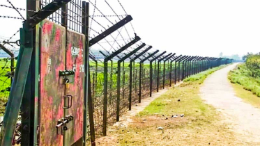 সীমান্ত থেকে বাংলাদেশিকে ধরে নিল বিএসএফ