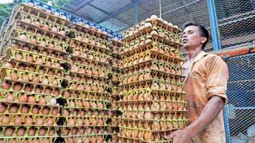 ডিম আসছে বাজারে