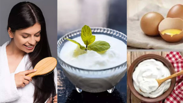 চুলের ঘনত্ব বাড়াতে দই না ডিম—কোনটি বেশি কার্যকর? জানুন বিশেষজ্ঞের