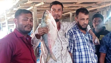 লক্ষ্মীপুরে ২.৫ কেজির ইলিশ, বিক্রি ৯ হাজার ২০০ টাকায় লক্ষ্মীপুরে ২.৫ কেজির ইলিশ, বিক্রি ৯ হাজার ২০০ টাকায়