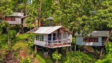 বান্দরবানে পাহাড় কেটে রিসোর্ট, ৬ প্রতিষ্ঠানকে ৭ লাখ টাকা জরিমানা বান্দরবানে পাহাড় কেটে রিসোর্ট, ৬ প্রতিষ্ঠানকে ৭ লাখ টাকা জরিমানা