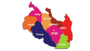 কোটি টাকার রাস্তার গাছ নামমাত্র মূল্যে বিক্রির অভিযোগ