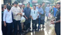 এবার সড়কে মাছ ছেড়ে প্রতিবাদে হাসনাত আবদুল্লাহ