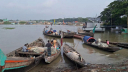 ইলিশ ধরায় ২২ দিনের নিষেধাজ্ঞা