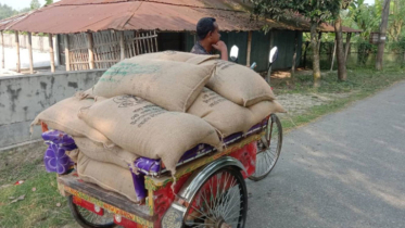 কালাইয়ে ৬৬৬ বস্তা সরকারি চাল জব্দ